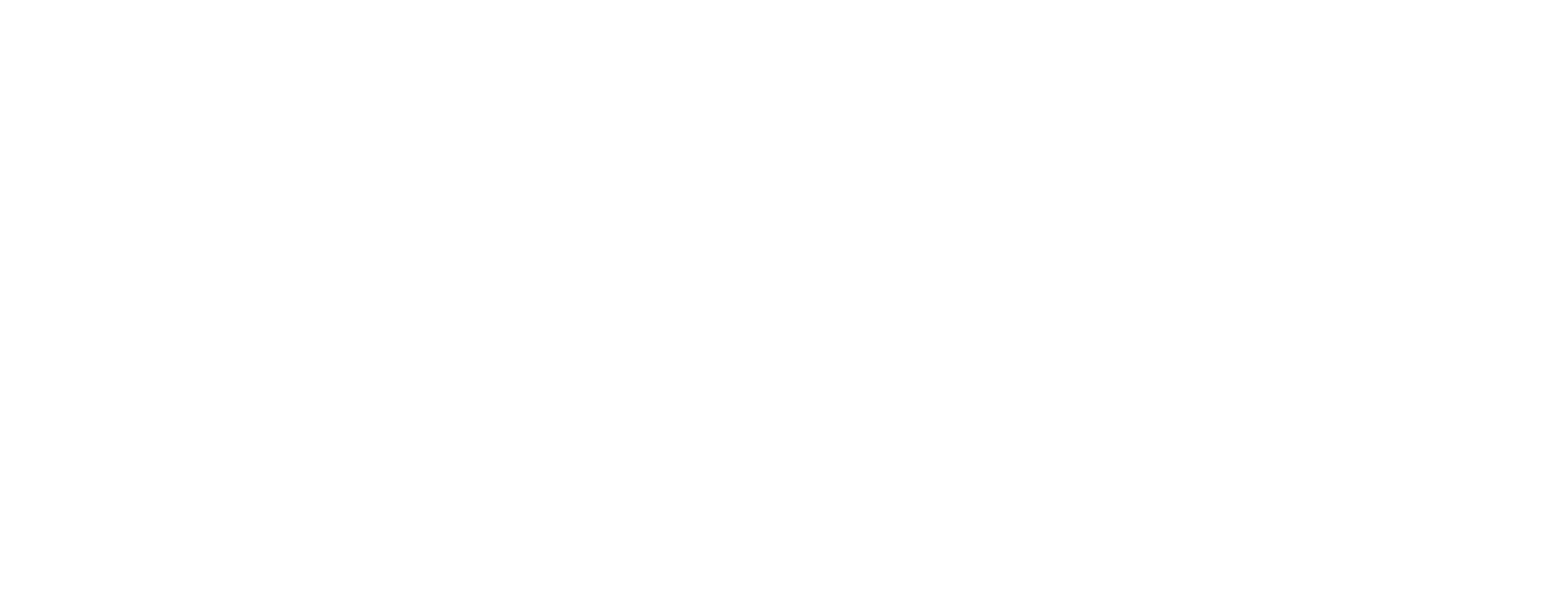 Logo branco do Núcleo de Estudantes de Informática do ISEP (NEI)